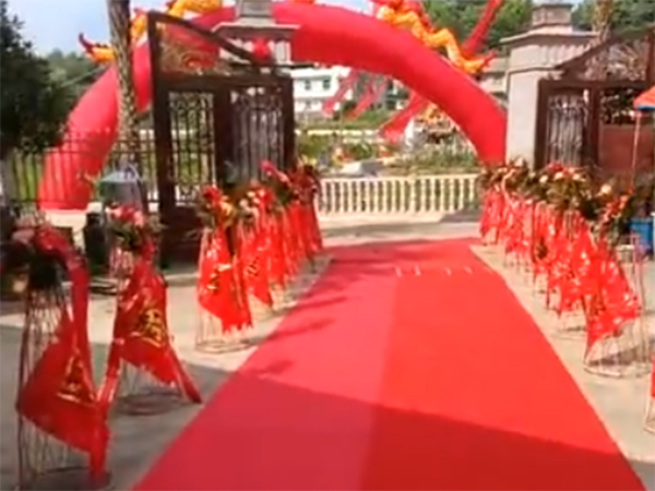 工程案例视频