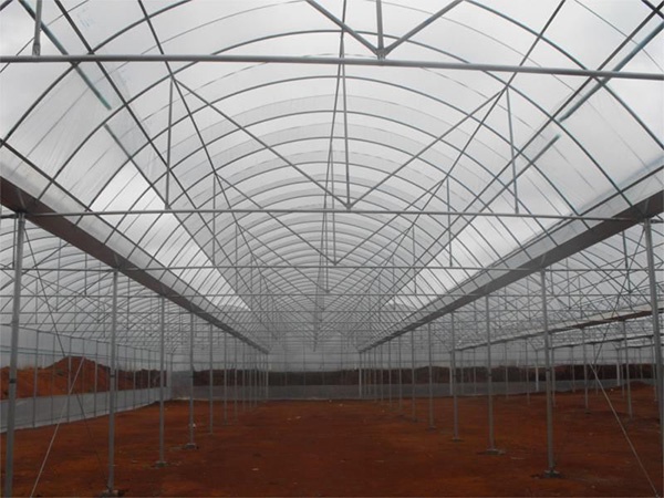 钢结构暖房